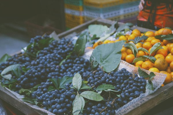 Discover the Cutting-Edge Biodegradable Packaging Innovations Transforming Take-Out at Eco-Friendly Cafes