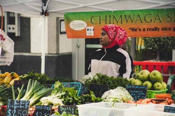 Ultimate guide to selecting the ideal uk kitchen tap: effective strategies for reducing water waste