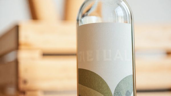 Top Beverage Packaging Options Tailored for Today's Brands